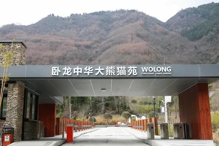 1-Day Wolong Panda Volunteer Program Tour