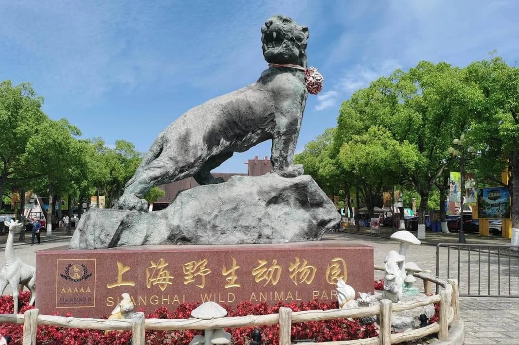8-Day Shanghai, Hangzhou, Wuzhen & Suzhou Tour: Modern Cities & Classic Jiangnan | Private Jiangnan Journey