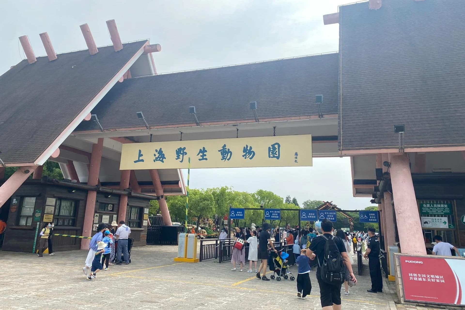 8-Day Shanghai, Hangzhou, Wuzhen & Suzhou Tour: Modern Cities & Classic Jiangnan | Private Jiangnan Journey photo 4