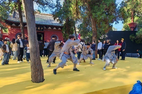 10-Day Kung Fu Journey: Beijing - Xi'an - Luoyang - Shanghai photo 4