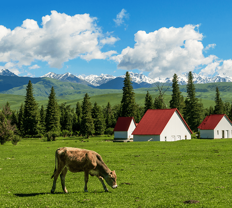Xinjiang