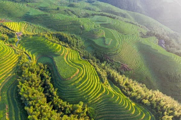 11-Day China Classic Tour | Best First-Time China Itinerary photo 6